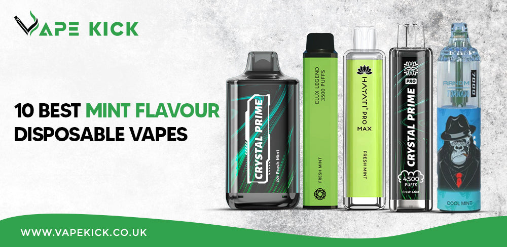 10 Best Mint Flavour Disposable Vapes